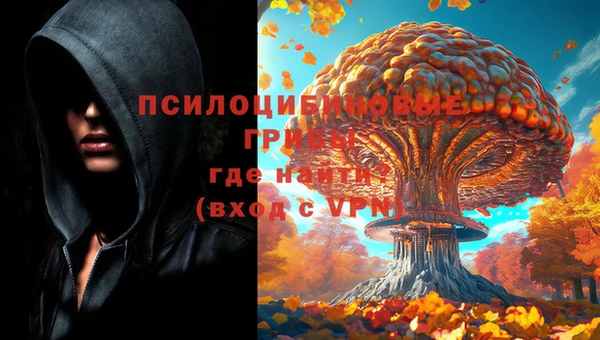 стафф Алексеевка