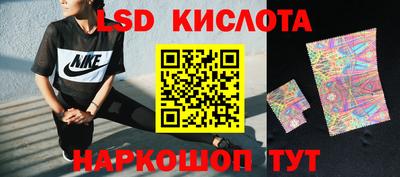 стаф Пенза