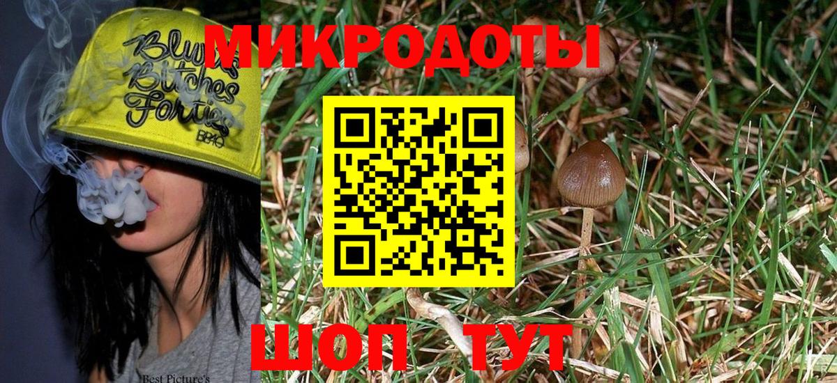 Шадринск  Псилоцибиновые грибы ЛСД  Вход с VPN  Псилоцибиновые грибы MAGIC MUSHROOMS 